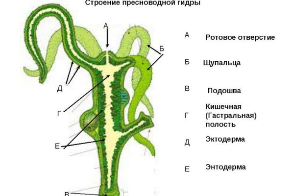 Как зайти на гидру через тор браузер