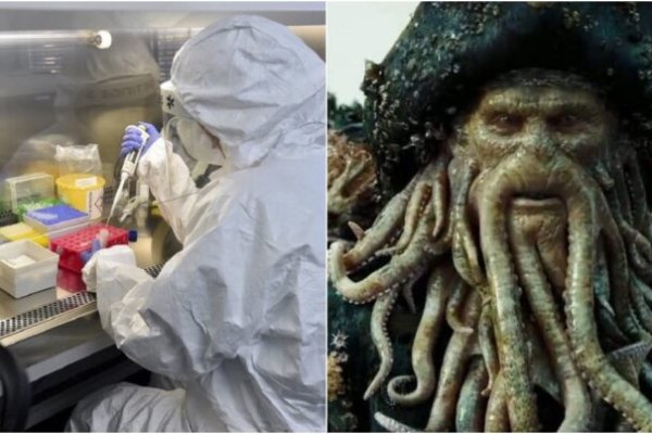 Kraken сайт зеркала