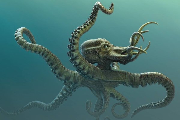 Kraken market ссылка тор