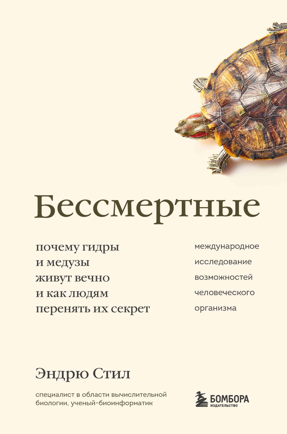 Kraken рынок